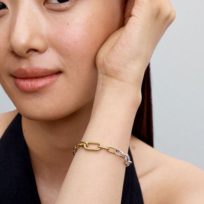 Two Tone Link Chain Pandora Bracelet